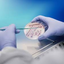 Industrial & Food Safety Testing