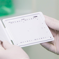 Gel Electrophoresis