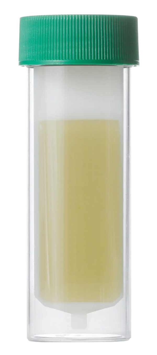 Clinical Microbiology Consumables & Stains