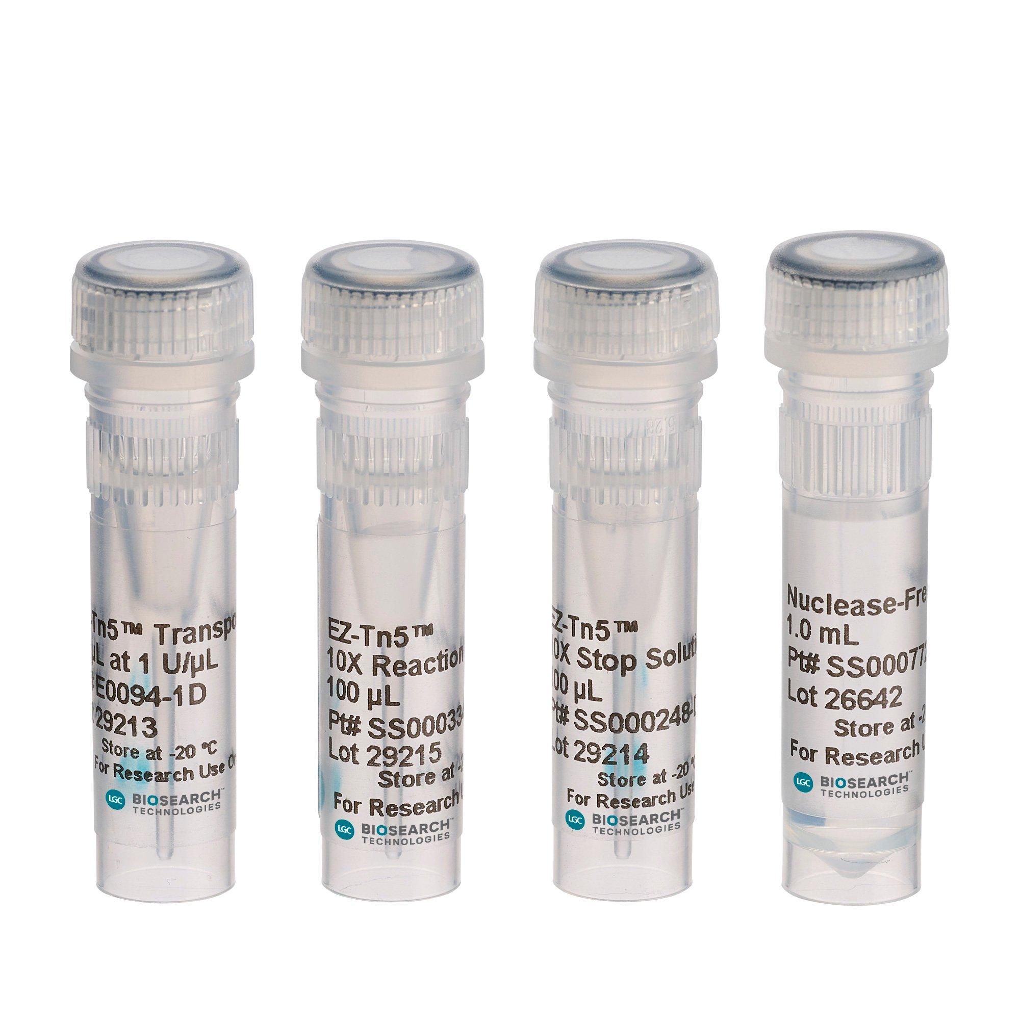 Molecular Biology Enzymes