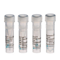 Molecular Biology Enzymes