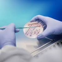 Industrial & Food Safety Testing