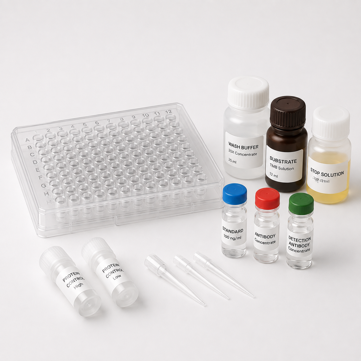 Proteins, Antibodies & Immunoassays