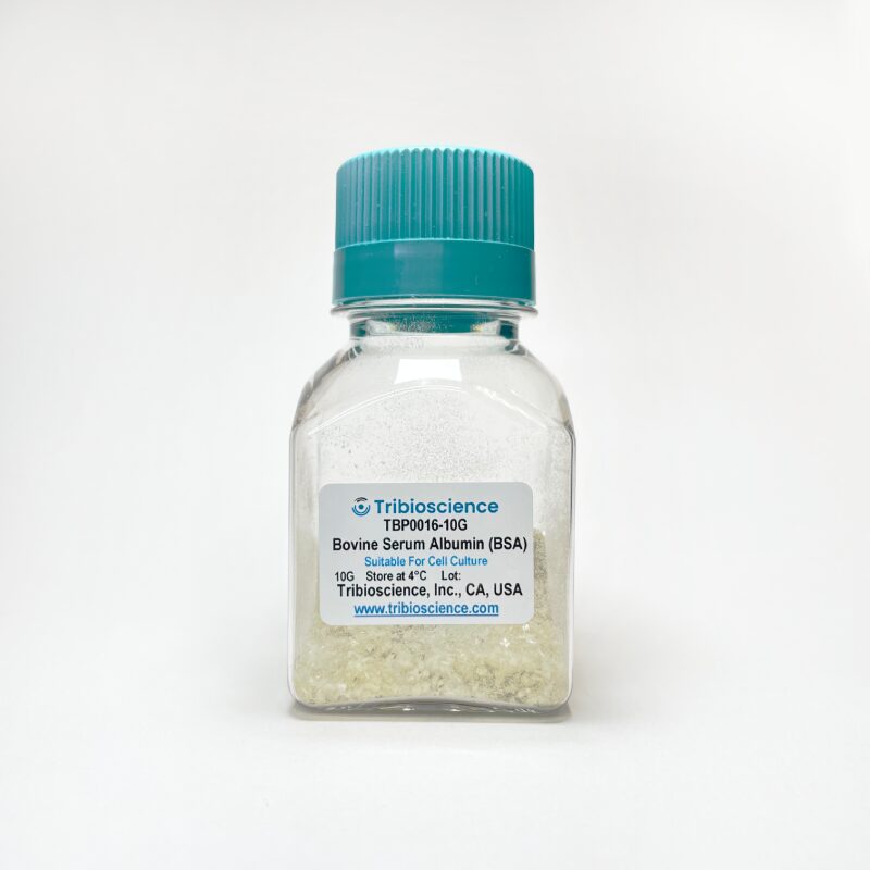 Proteins & Peptides
