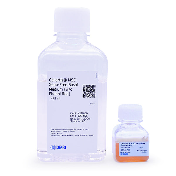 Stem Cell & Epigenetics