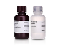 Western Blotting & Detection