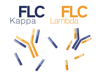 ELISA Assays