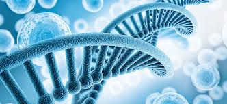 Life Science