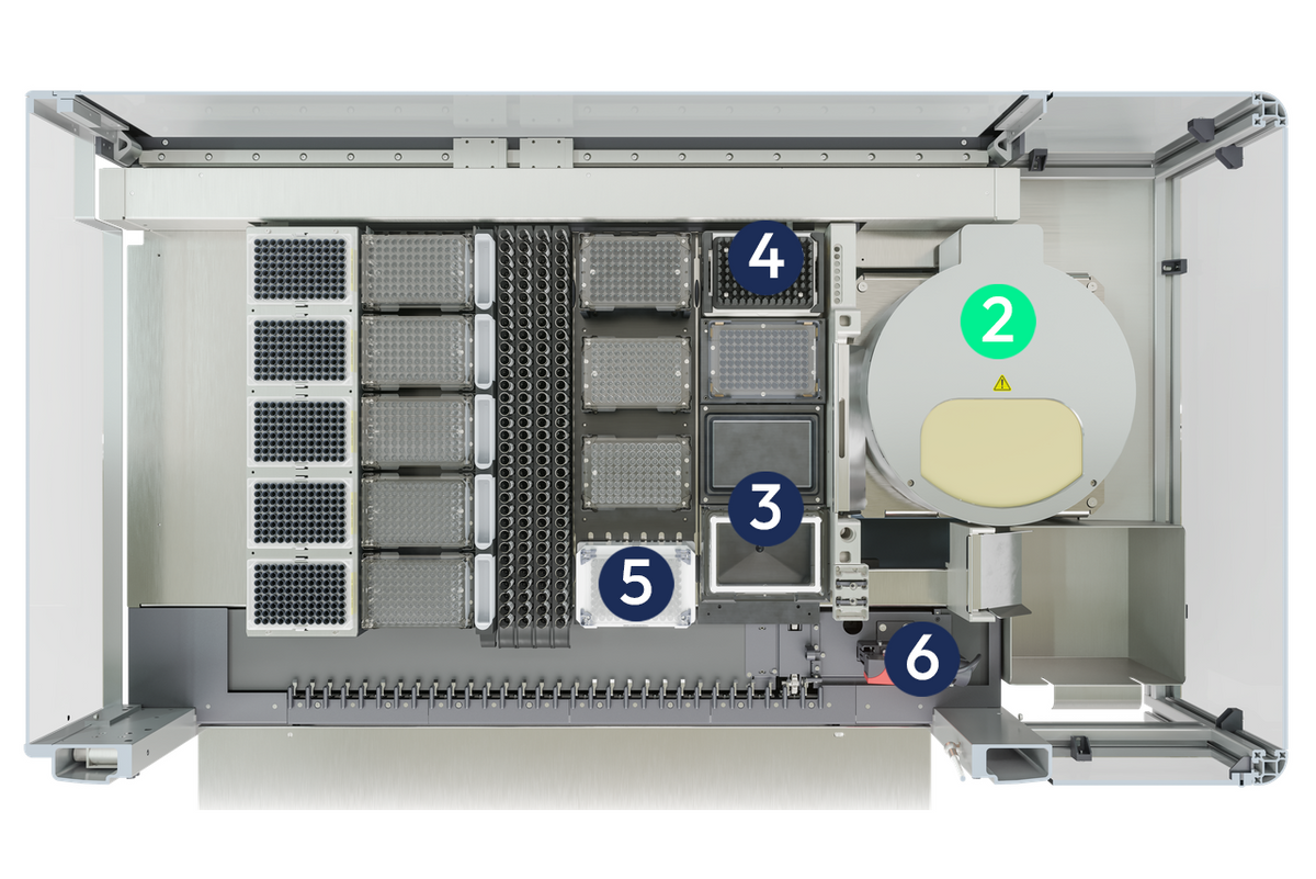 Dual MassSTAR (806614)