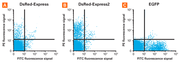 pDsRed-Express2-C1 Vector 632538 - Gene function - Takara Bio