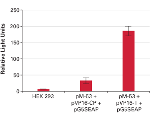 Matchmaker® Mammalian Assay Kit 2 630305 - Protein research - Takara Bio