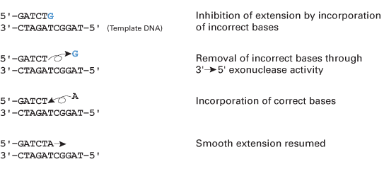 Advantage® GC Genomic LA Polymerase Mix 639153 - PCR - Takara Bio
