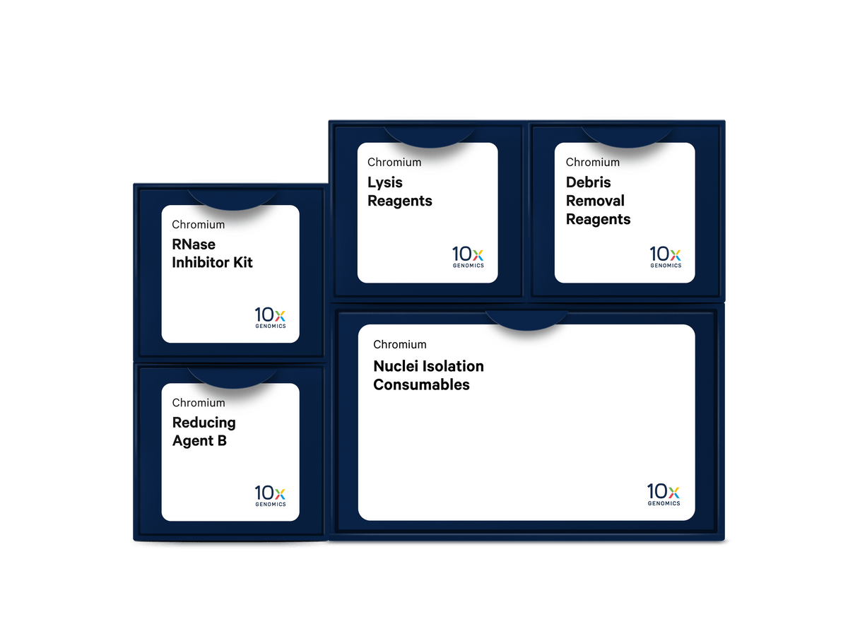 Nuclei Isolation Kit with RNase Inhibitor v2, 16 rxns 1001101 - 10x Genomics