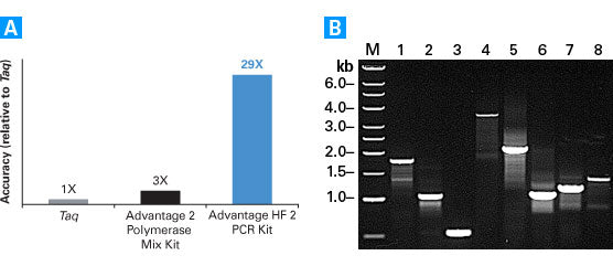 Advantage® HF 2 PCR Kit 639123 - PCR - Takara Bio