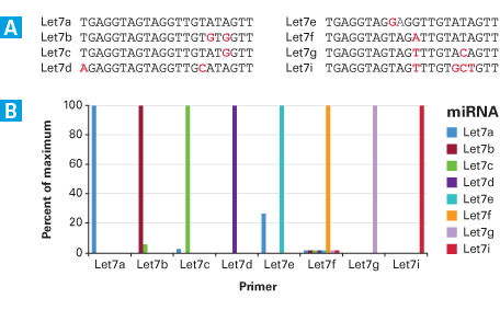 Mir-X™ miRNA qRT-PCR TB Green® Kit 638316 - Gene function - Takara Bio
