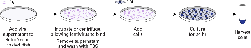 RetroNectin® EIA Kit MK140 - Gene function - Takara Bio