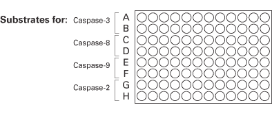 ApoAlert™ Caspase-9/6 Fluorescent Assay Kit 630212 - Gene function - Takara Bio