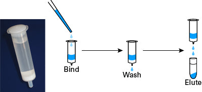 Lenti-X™ Maxi Purification Kit 631234 - Gene function - Takara Bio