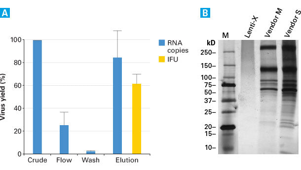 Lenti-X™ Maxi Purification Kit 631234 - Gene function - Takara Bio