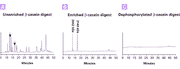 Phosphopeptide Enrichment Spin Columns 635634 - Protein research - Takara Bio