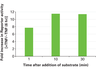 Ready-To-Glow™ Secreted Luciferase Reporter Assay 631726 - Gene function - Takara Bio