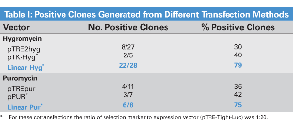 pBI-CMV1 Vector 631630 - Gene function - Takara Bio