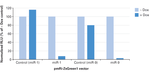 Mir-X™ Inducible miRNA System (Green) 631120 - Gene function - Takara Bio