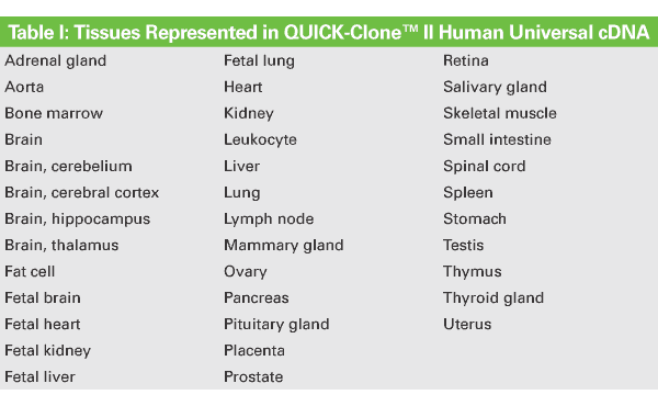Human Retina QUICK-Clone™ cDNA 637216 - mRNA and cDNA synthesis - Takara Bio