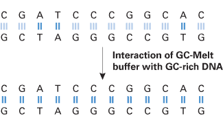 Advantage® GC Genomic LA Polymerase Mix 639153 - PCR - Takara Bio