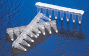 RNA to cDNA EcoDry™ Premix (Double Primed) 639549 - mRNA and cDNA synthesis - Takara Bio