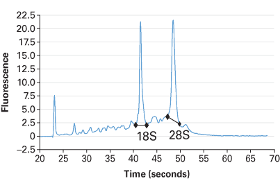 Human Lung Tumor Total RNA 636633 - mRNA and cDNA synthesis - Takara Bio