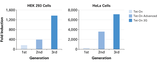 Tet-On® 3G Bidirectional Inducible Expression System (with mCherry) 631338 - Gene function - Takara Bio