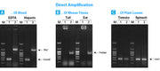 Terra™ Direct PCR Red Dye Premix 639286 - PCR - Takara Bio