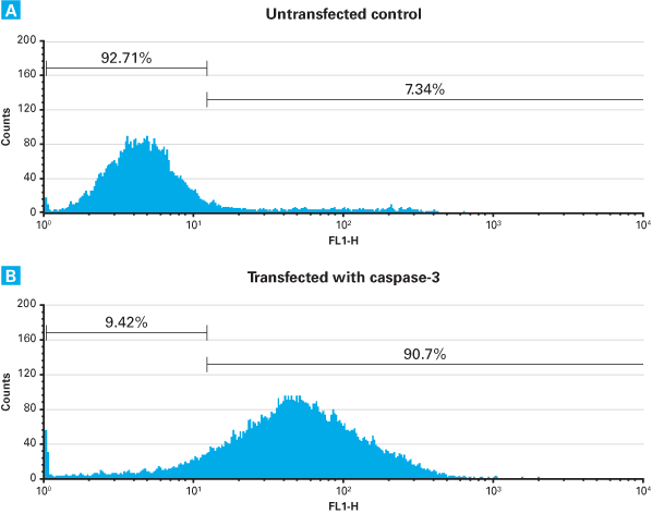 Xfect™ Protein Transfection Reagent 631324 - Gene function - Takara Bio