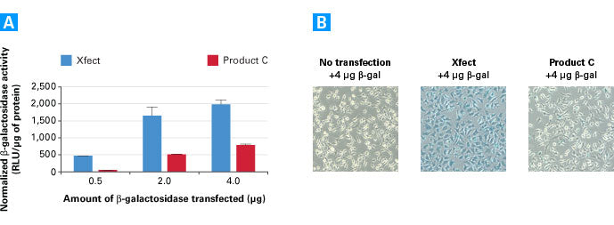 Xfect™ Protein Transfection Reagent 631324 - Gene function - Takara Bio