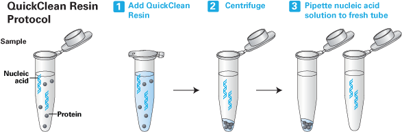QuickClean Enzyme Removal Resin 631770 - PCR - Takara Bio