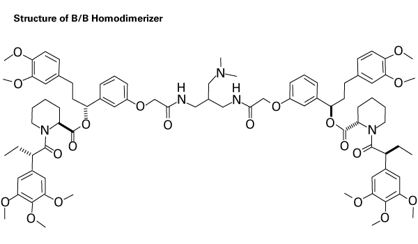 B/B Homodimerizer 635059 - Gene function - Takara Bio