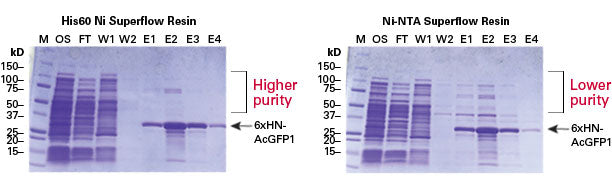 His60 Ni Superflow Cartridges 635675 - Protein research - Takara Bio