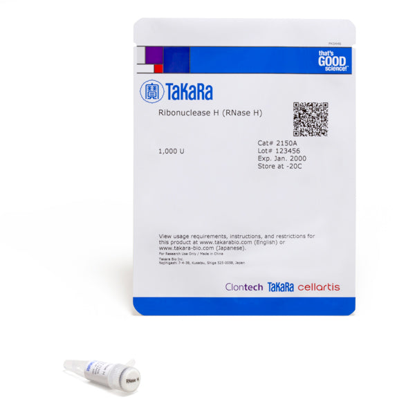 Ribonuclease H 2150A - Cloning - Takara Bio