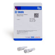 Recombinant DNase I (RNase-free) 2270A - Cloning - Takara Bio