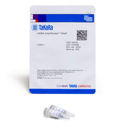 mRNA Interferase™-MazF 2415A - Protein research - Takara Bio