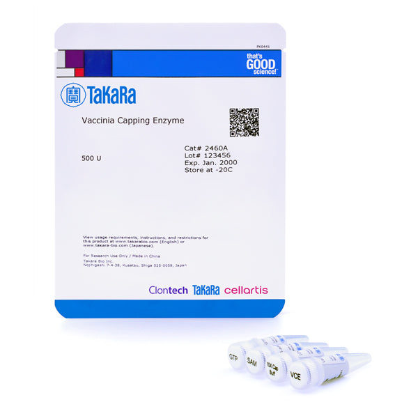 Vaccinia Capping Enzyme 2460A - mRNA and cDNA synthesis - Takara Bio
