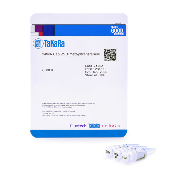 mRNA Cap 2'-O-Methyltransferase 2470A - mRNA and cDNA synthesis - Takara Bio
