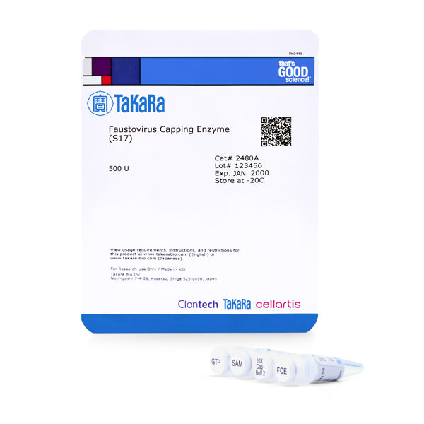 Faustovirus Capping Enzyme (S17) 2480A - mRNA and cDNA synthesis - Takara Bio
