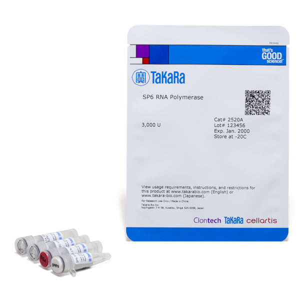 SP6 RNA Polymerase 2520A - mRNA and cDNA synthesis - Takara Bio
