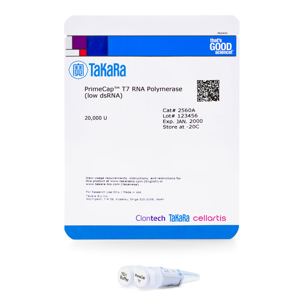 PrimeCap™ T7 RNA Polymerase (low dsRNA) 2560A - mRNA and cDNA synthesis - Takara Bio