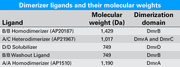 iDimerize™ Regulated Transcription System 635081 - Gene function - Takara Bio