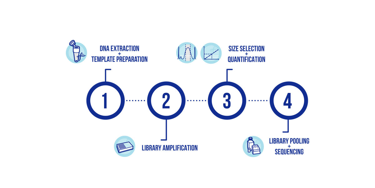 EmbryoMap Kit for PGT-A on the Illumina MiSeq (13348)