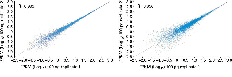 SMART-Seq® Total RNA Mid Input 635050 - Next-generation sequencing - Takara Bio