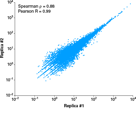 SMART-Seq® Total RNA High Input (RiboGone™ Mammalian) 635047 - Next-generation sequencing - Takara Bio